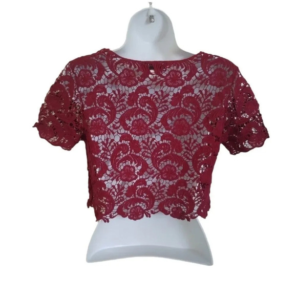 Sexy What? Cropped Crocheted  Burgundy Top, M - Picture 6 of 8